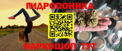МДПВ Татарск