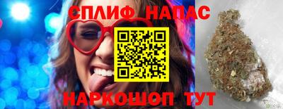 МДПВ Татарск