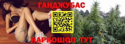 МДПВ Татарск