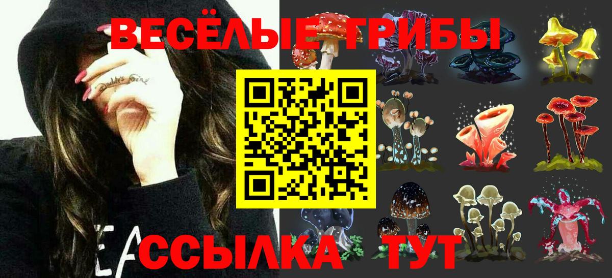 Белово  Псилоцибиновые грибы ЛСД  Вход с VPN 
